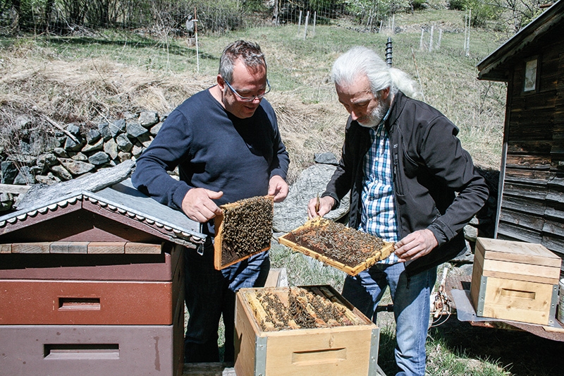 der Chef im Imkerbezirk Obervinschgau Othmar Patscheider und Vorgänger Robert Gander