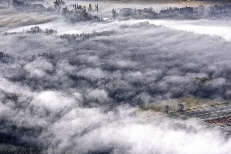 Vor dem Winterschlaf.