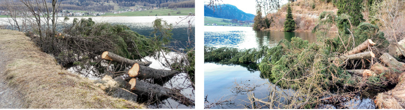Die Wasserfassung für das E-Werk Saldur in Matsch: Vertragsstreitigkeiten