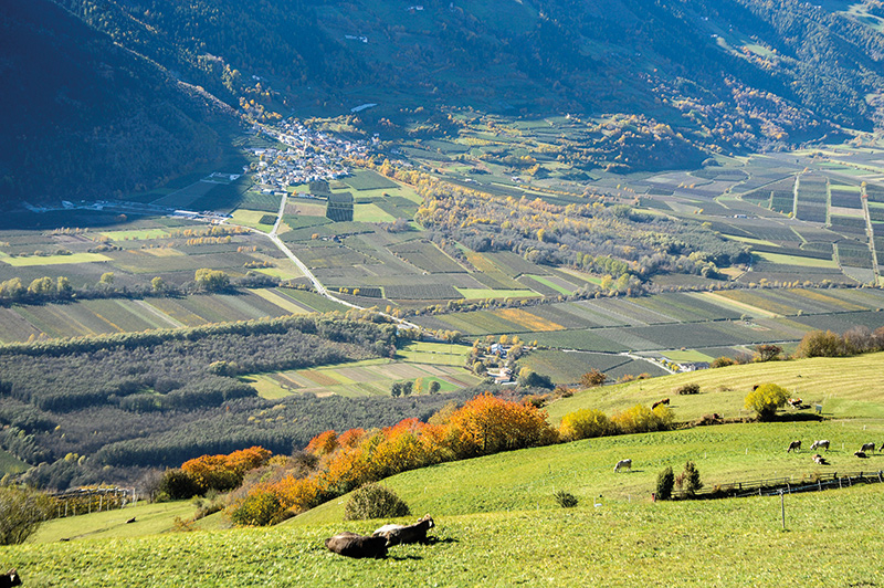 Tschengls, die Tschenglser und Eyrser Au und die landwirtschaftlichen Kulturflächen in der Vinschgauer Haupttalsohle von den Tanaser Wiesen aus.