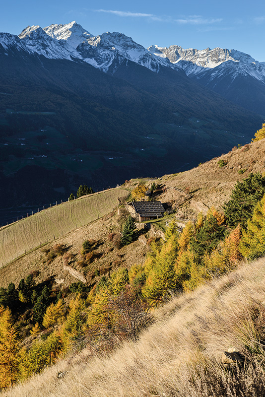 Der Vinschger Sonnenberg.