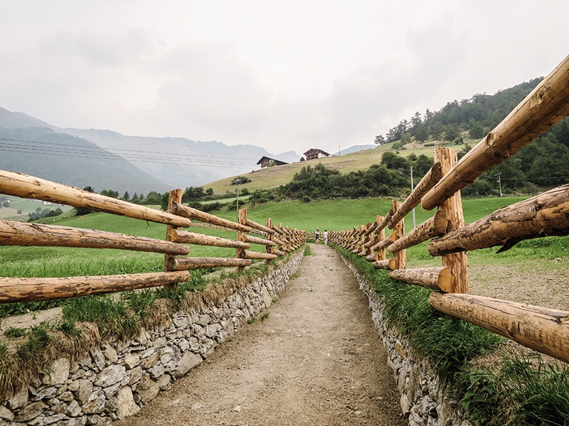 Mit der Wiederherstellung der Psurngasse gibt es nun einen schönen Verbindungsweg vom Dorf Tanas zum Vinschger Höhenweg bzw. einen familienfreundlichen und einfach begehbaren Rundweg über den Gasthof Paflur.