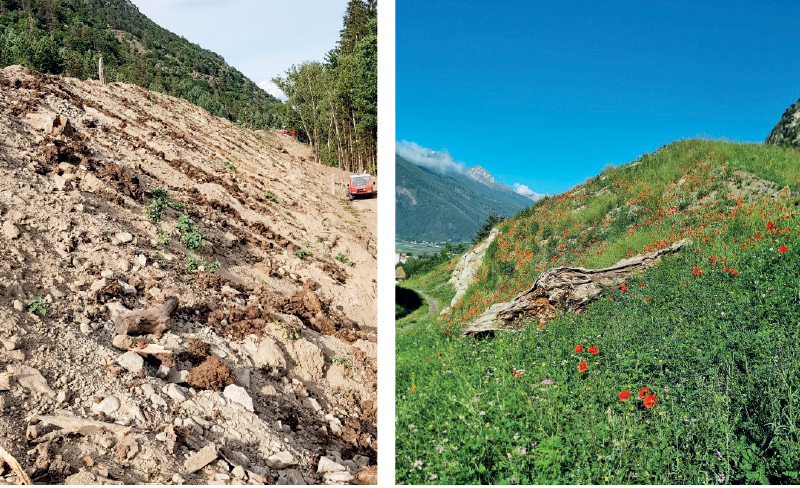 links: Schutzdamm vor der Bepflanzung, Mai 2020;  rechts: Schutzdämme heute, Juni 2023