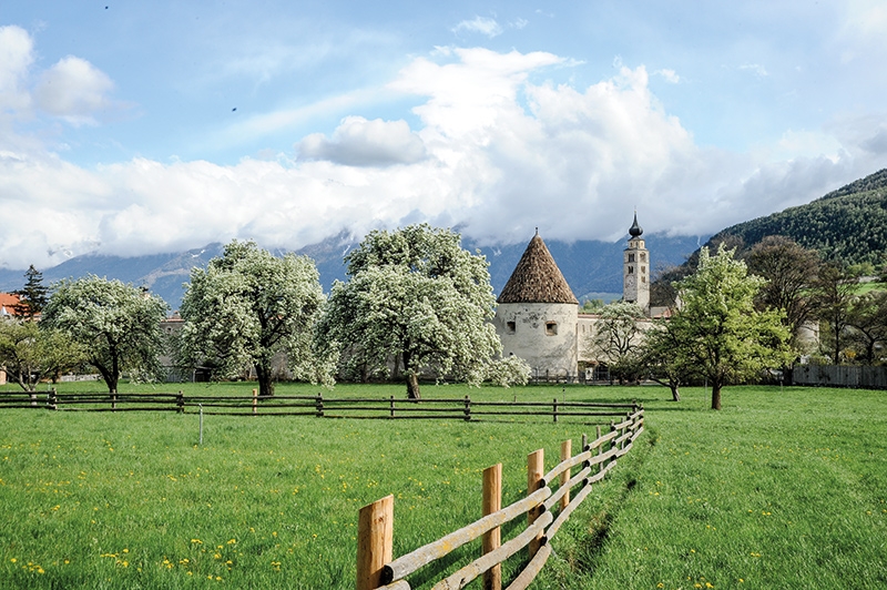 Palabirnanger in Glurns