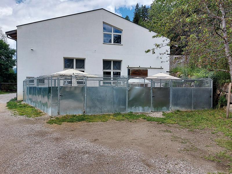 Das Tierheim in  St. Walburg in Ulten,  geführt vom Verein „Tierheim Naturns“  Dringend gesucht wird ein neuer Standort im Vinschgau