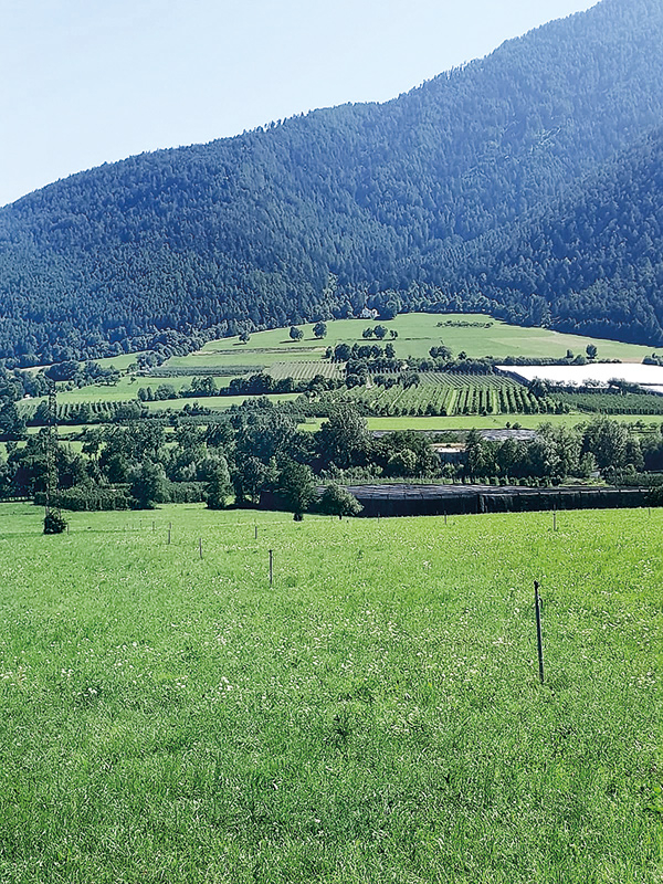 Mit einem enormen Gefälle (Fallhöhe 1.135 m) ist die Anlage von Naturns (230 Megawatt installierte Leistung)  das größte Hochdruckwasserkraftwerk in Südtirol.