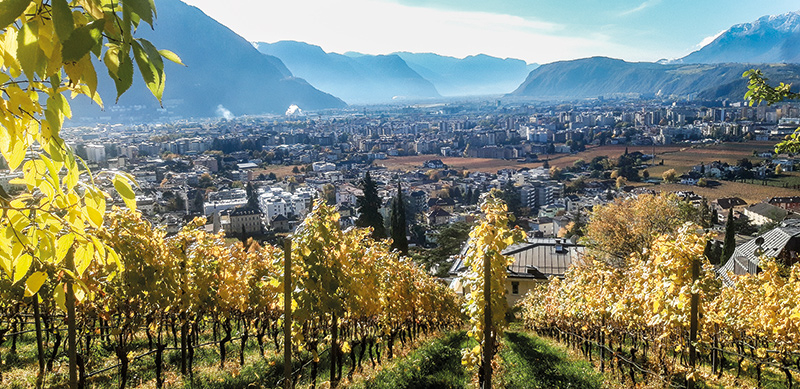 Bozen im Dezember 2021: Wieviel Verstädterung braucht und verträgt die Gesellschaft lokal und global? Wieviel Verbauung von Landschaft können und wollen wir uns in Zukunft (noch) leisten?
