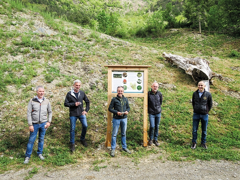 Auch dieses Jahr gab es am 15. Mai ein Baumfest bei der Fortsetzung des Pilotprojektes „Bienenweide Latscher Sonnenberg“, eine gemeinsame Initiative der VI. P, der Eigenverwaltung und vom Imkerverein Latsch in Zusammenarbeit mit dem Forstinspektorat Schlanders. V. l.: Andreas Weitgruber (Eigenverwaltung Latsch), LR Arnold Schuler, Thomas Oberhofer, Peter Tscholl und Georg Pircher
