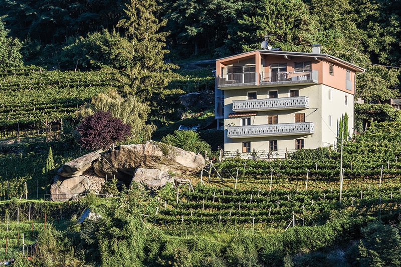 Kompatsch „Neuräutl“.