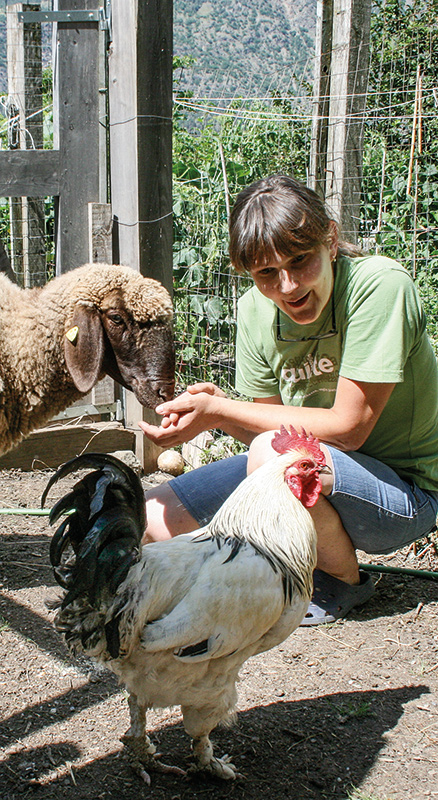 Die Vorsitzende des Tierschutzvereins Vinschgau Anita Pichler in ihrem Gehege bei Latsch. Engagiert kämpft sie gegen Katzenelend an. Doch grundsätzlich geht es ihr um die artgerechte Haltung aller Tiere