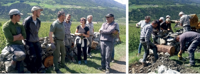 An der alten Landstraße zwischen Schlanders und Vetzan wurden kürzlich in einer Gemeinschafts-aktion neue Lebensräume für Kleinlebewesen geschaffen.