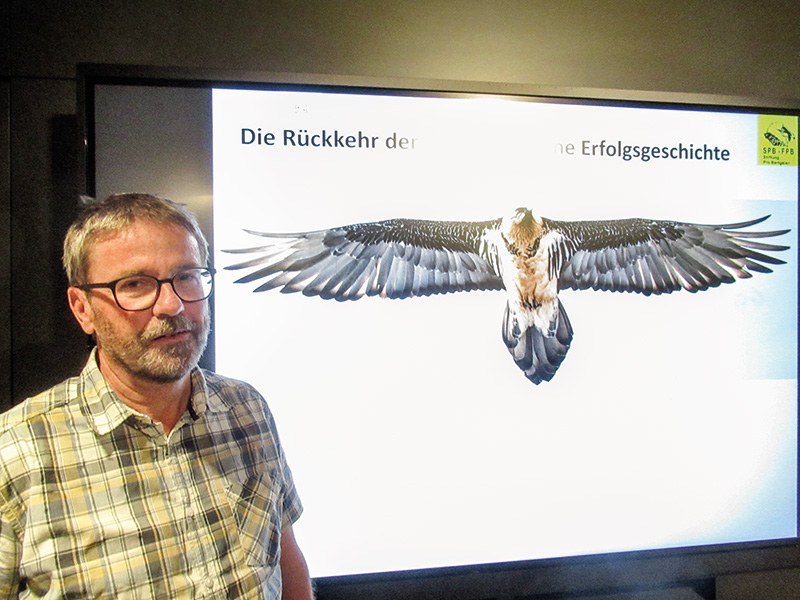 Die Wiederansiedlung der Bartgeier in den Alpen ist eine Erfolgsgeschichte. Der Bartgeierexperte David Jenny aus Graubünden berichtete über die Lebensweise der Bartgeier und das Wiederansiedlungsprojekt.