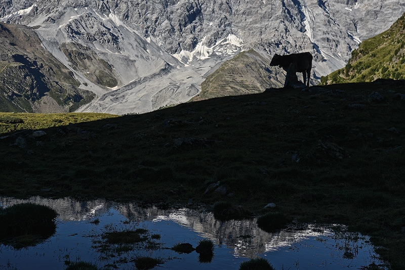 Am Ortler Höhenweg.