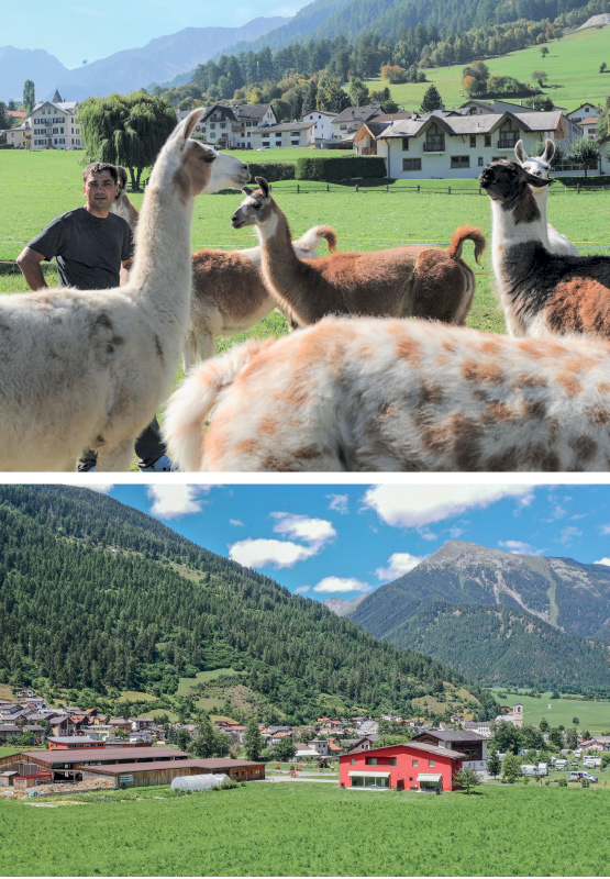 oben: Lamatrekking mit Isidor Sepp und der Hof Puntetta in Müstair