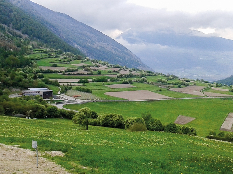 Strukturreiche Landschaften gewährleisten eine größere Artenvielfalt als eintönige Landschaften: der Turnauna-Schuttkegel talseits von Taufers im Münstertal