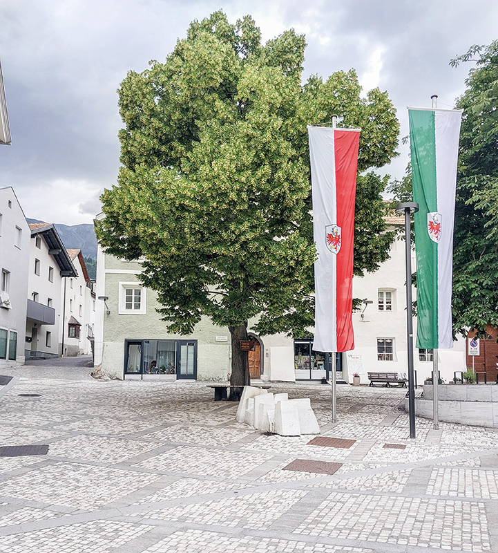 Die Sommerlinde am Laaser Hauptplatz in Blüte, fotografiert am Dreifaltigkeitssonntag, 15. Juni 2025. Im Vordergrund der Brunnen des Laaser Künstlers Alfred Gutweniger. 