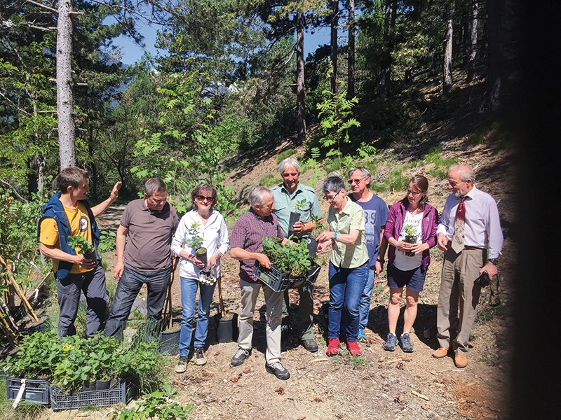 Eisbärenschützer  helfen bei der Aufforstung am Spondiniger Hang