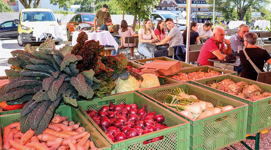 Kann sich sehen lassen: lokal, sozial und fair produziertes Biogemüse aus Mals.