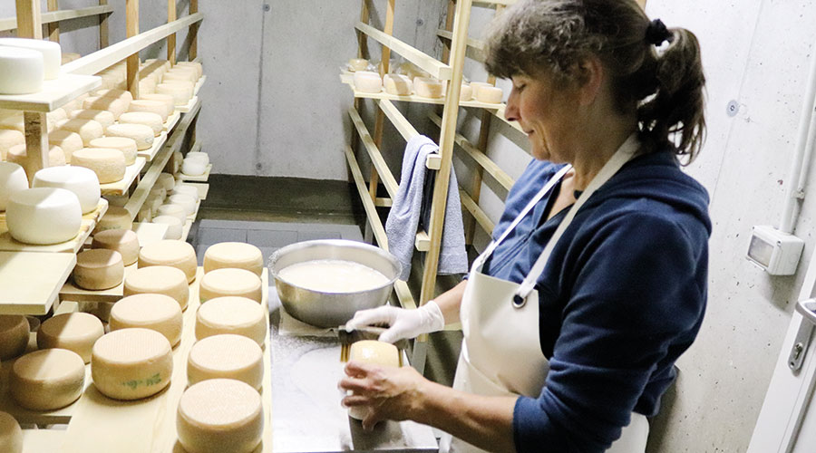Seine Mutter Esther Kyburz veredelt  dort seit Jahren Ziegenmilch
