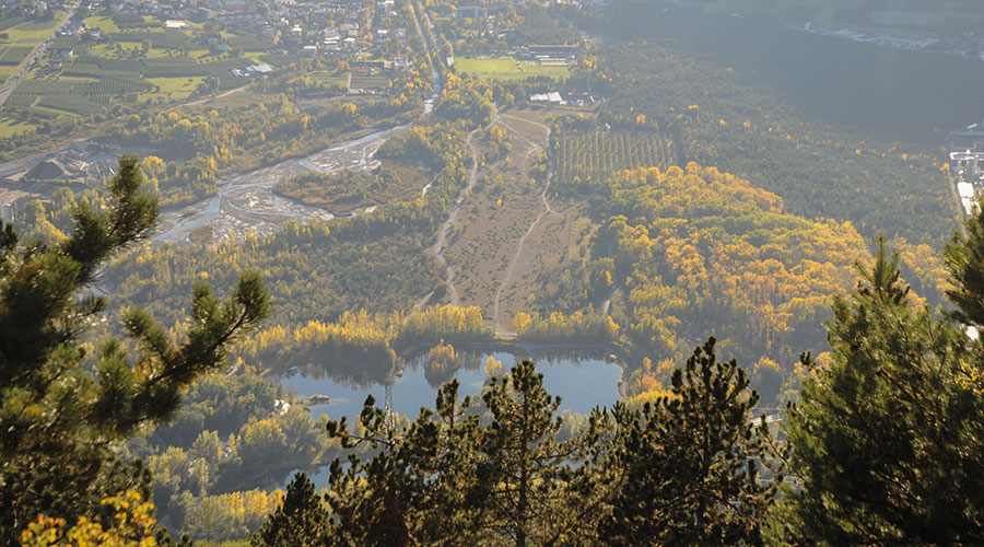 Gänsesäger sind Bewohner von Wasserlebensräumen: die Prader Sand in einer Herbstaufnahme. 