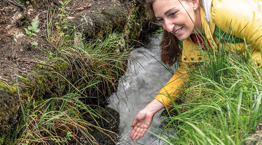 Partschinser Waalweg