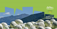 Spezial: Krautwochen - vom 14. Oktober 2023 bis zum 4. November 2023 in Laas