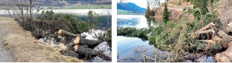 Die Wasserfassung für das E-Werk Saldur in Matsch: Vertragsstreitigkeiten