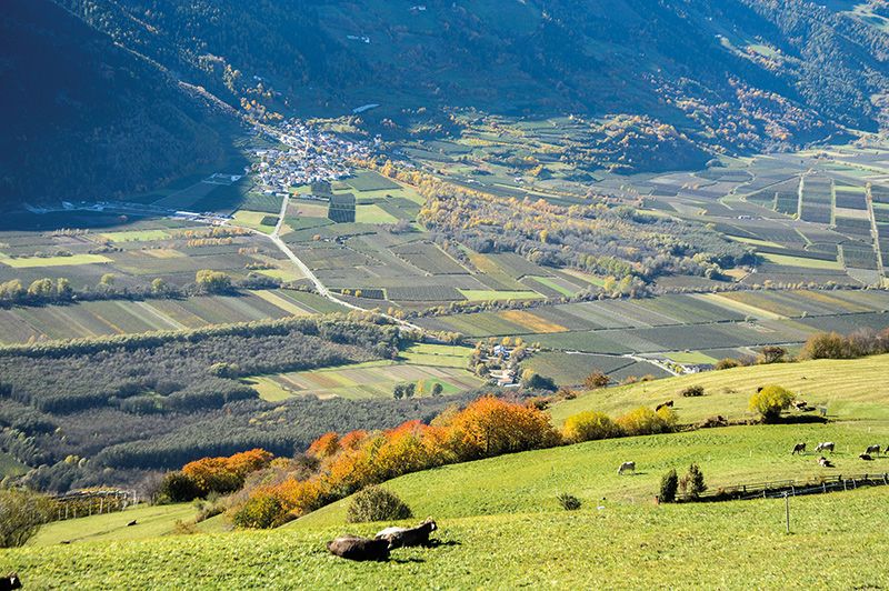 Tschengls, die Tschenglser und Eyrser Au und die landwirtschaftlichen Kulturflächen in der Vinschgauer Haupttalsohle von den Tanaser Wiesen aus.