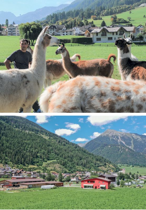 oben: Lamatrekking mit Isidor Sepp und der Hof Puntetta in Müstair