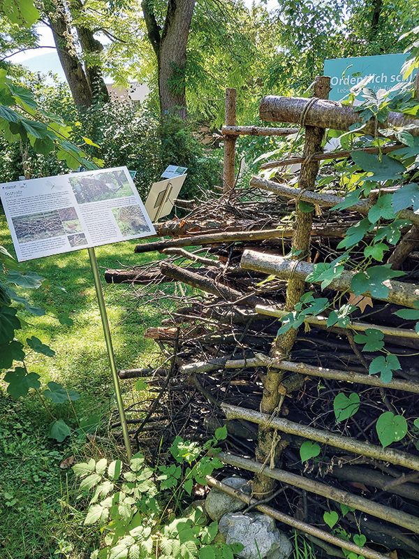 Geschichteter Strauchschnitt ist ein wertvoller Rückzucksort für Tiere. Foto aus dem Botanischen Garten der Universität Innsbruck