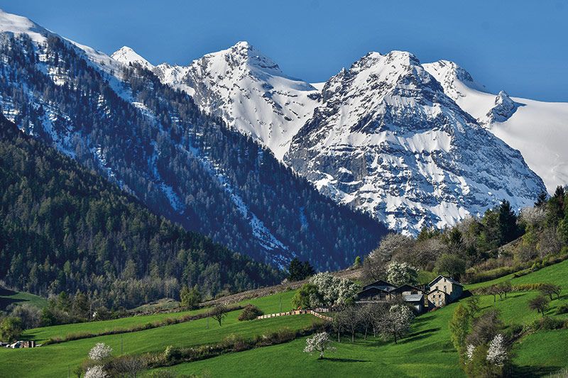 Patzleid & Madatsch.