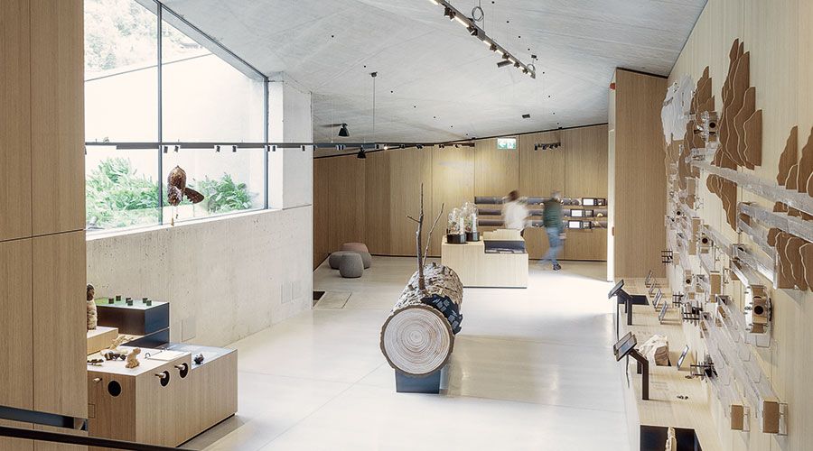 Eine Innenansicht des Naturparkhauses mit der Themenwand „Wasser“ und Ausschnitten zum Lebensraum „Wald“.