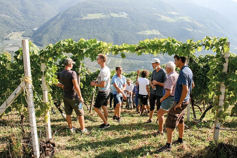 Vom Weinberg am Oberschlosshof auf Juval aus öffnet sich ein grandioser Blick ins Tal