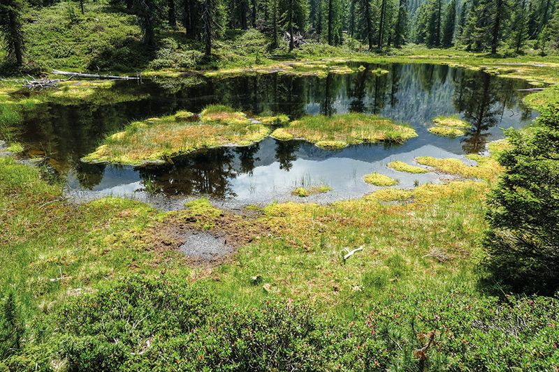 Obermarzoner Möser am Kastelbeller Nörderberg