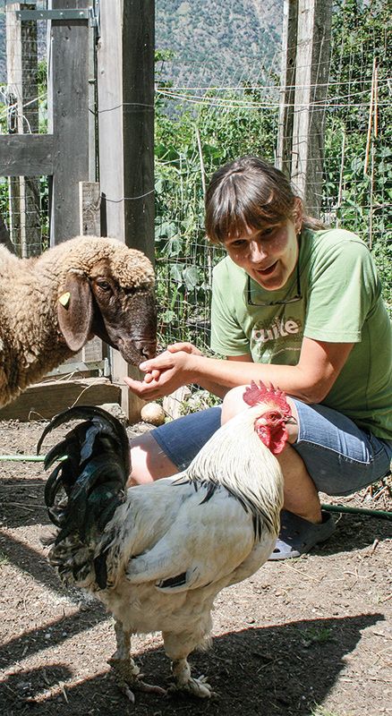 Die Vorsitzende des Tierschutzvereins Vinschgau Anita Pichler in ihrem Gehege bei Latsch. Engagiert kämpft sie gegen Katzenelend an. Doch grundsätzlich geht es ihr um die artgerechte Haltung aller Tiere