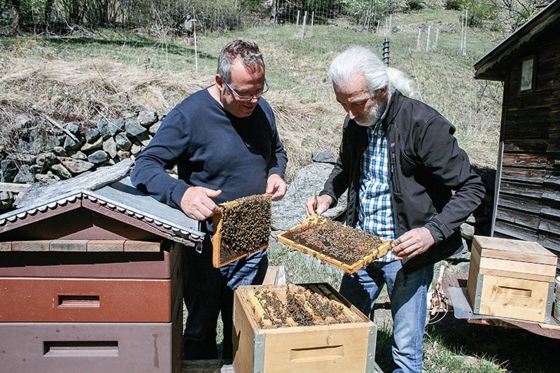 der Chef im Imkerbezirk Obervinschgau Othmar Patscheider und Vorgänger Robert Gander