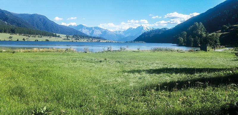 Der Haidersee gegen den Ortler