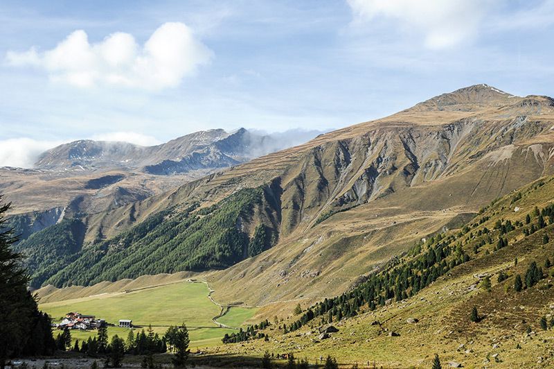 Melag in Langtaufers und sein Schutzwald