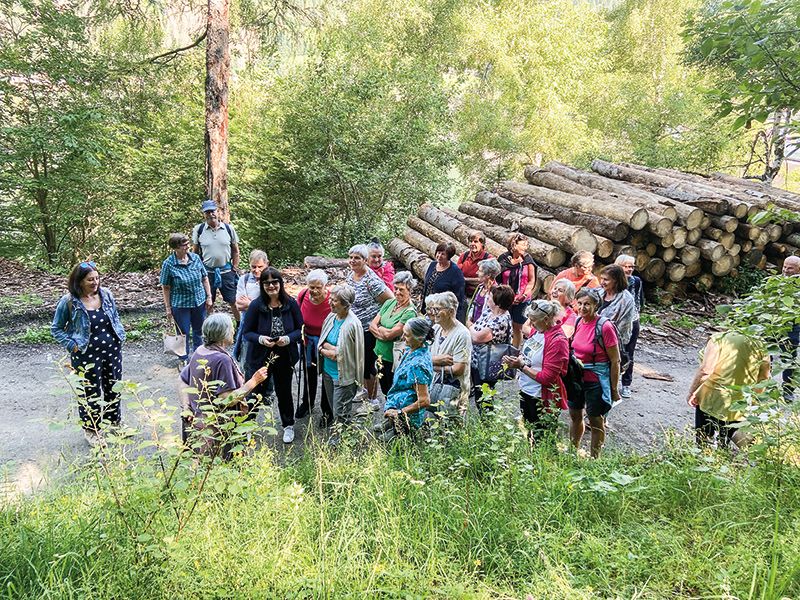 Traudl Schwienbacher erzählt den Vinschgerinnen und Vinschgern von der Heilkraft der Pflanzen und der Waldbäume
