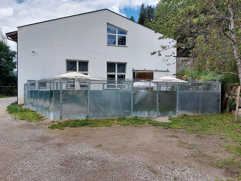 Das Tierheim in St. Walburg in Ulten, geführt vom Verein „Tierheim Naturns“ Dringend gesucht wird ein neuer Standort im Vinschgau