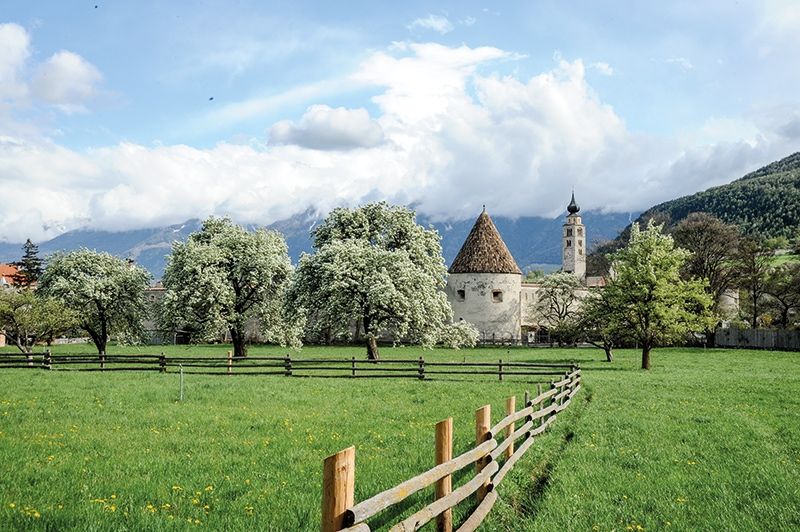 Palabirnanger in Glurns