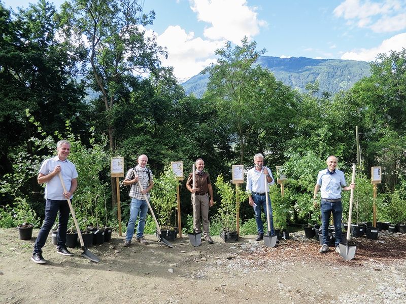 Im Rahmen eines Baumfestes erfolgte am 20. Juni der Startschuss für das Pilotprojekt „Bienenweide Latscher Sonnenberg“, eine gemeinsame Initiative der VI.P, der Eigenverwaltung und vom Imkerverein Latsch in Zusammenarbeit mit dem Forstinspektorat Schlanders. V.l.: Andreas Weitgruber, Peter Tscholl, Thomas Oberhofer, LR Arnold Schuler und Georg Pircher
