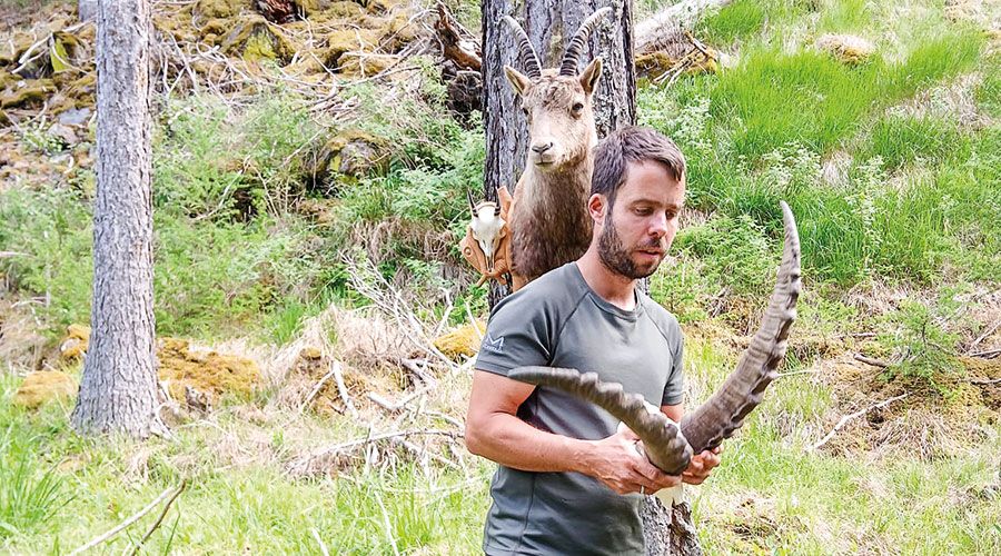 Jagdaufseher  Daniel erklärt die Geschichte des Steinbocks