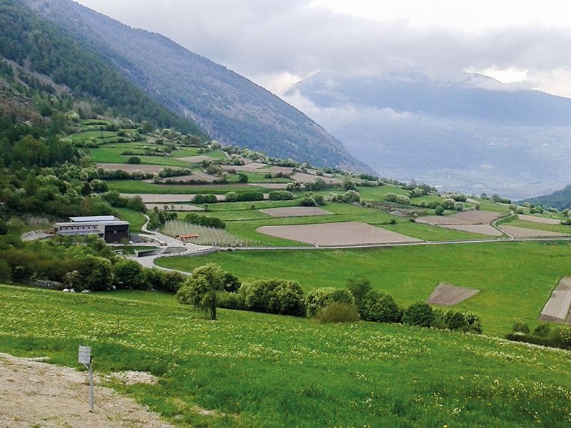 Strukturreiche Landschaften gewährleisten eine größere Artenvielfalt als eintönige Landschaften: der Turnauna-Schuttkegel talseits von Taufers im Münstertal