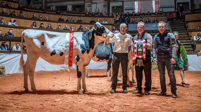 Die Holsteinkalbin Lara vom Pritzihof in Plawenn/Mals wurde bei der Landesaustellung zur Schausiegerin gekürt; v. l. der Züchter der Kalbin Stefan Stocker, der Obmann des Rinderzuchtverbandes Alberich Hofer und der Geschäftsführer Dieter Herbst