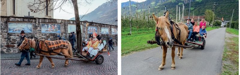 Lotte beim Nikolausumzug durchs Dorf (Foto: Manuela Kainz); rechts: Lotte beim Familienausflug mit der Kutsche
