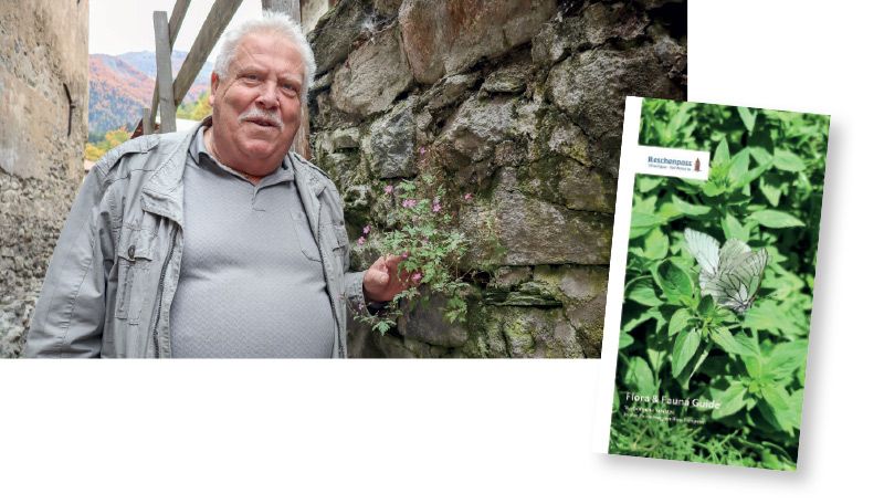 Hubert Joos beschreibt den Storchschnabel, der aus der Mauerritze gewachsen ist; rechts: das Cover seiner Broschüre „Flora & Fauna Guide“