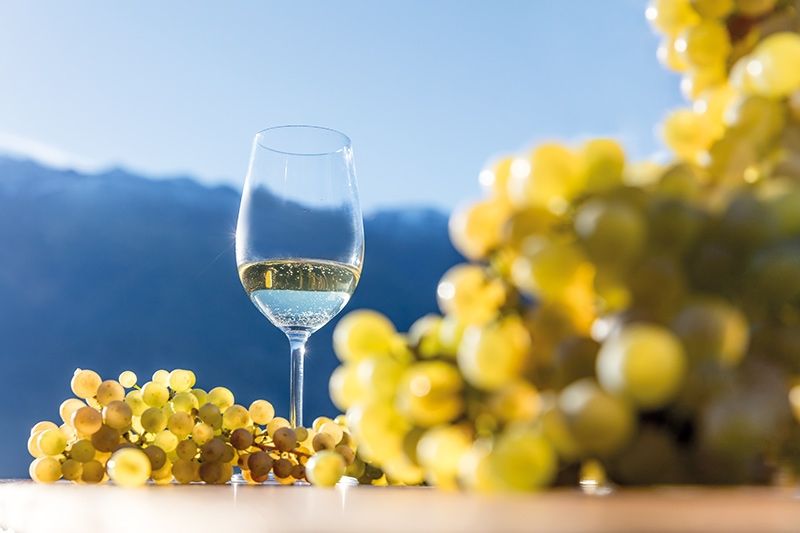 Fotos: © IDM Südtirol | Frieder Blickle