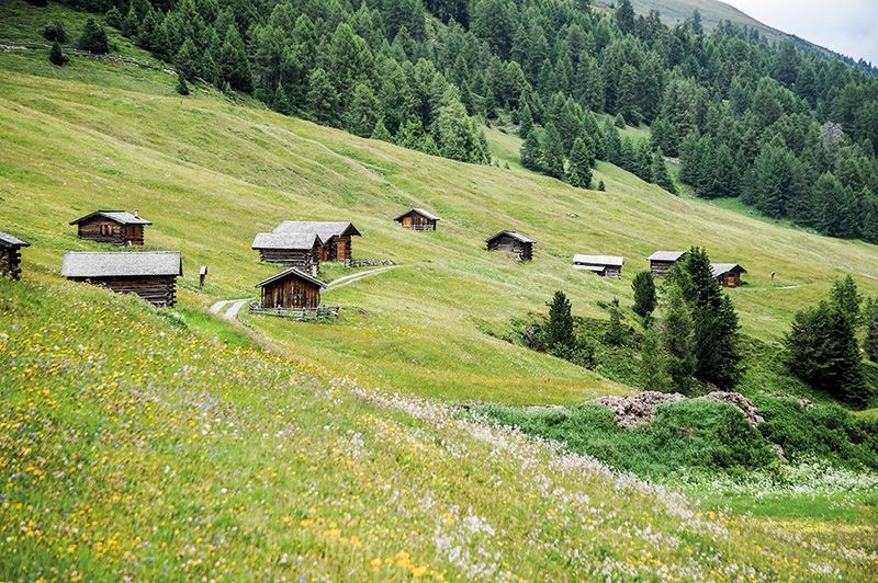 Bergwiesen und Heuschuppen im Rojental.
