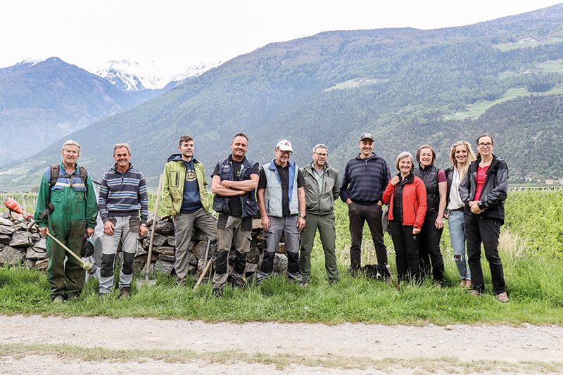 Projekt für mehr Biodiversität an der ehemalige Vinschger Staatsstraße und heute Alte Landstraße.